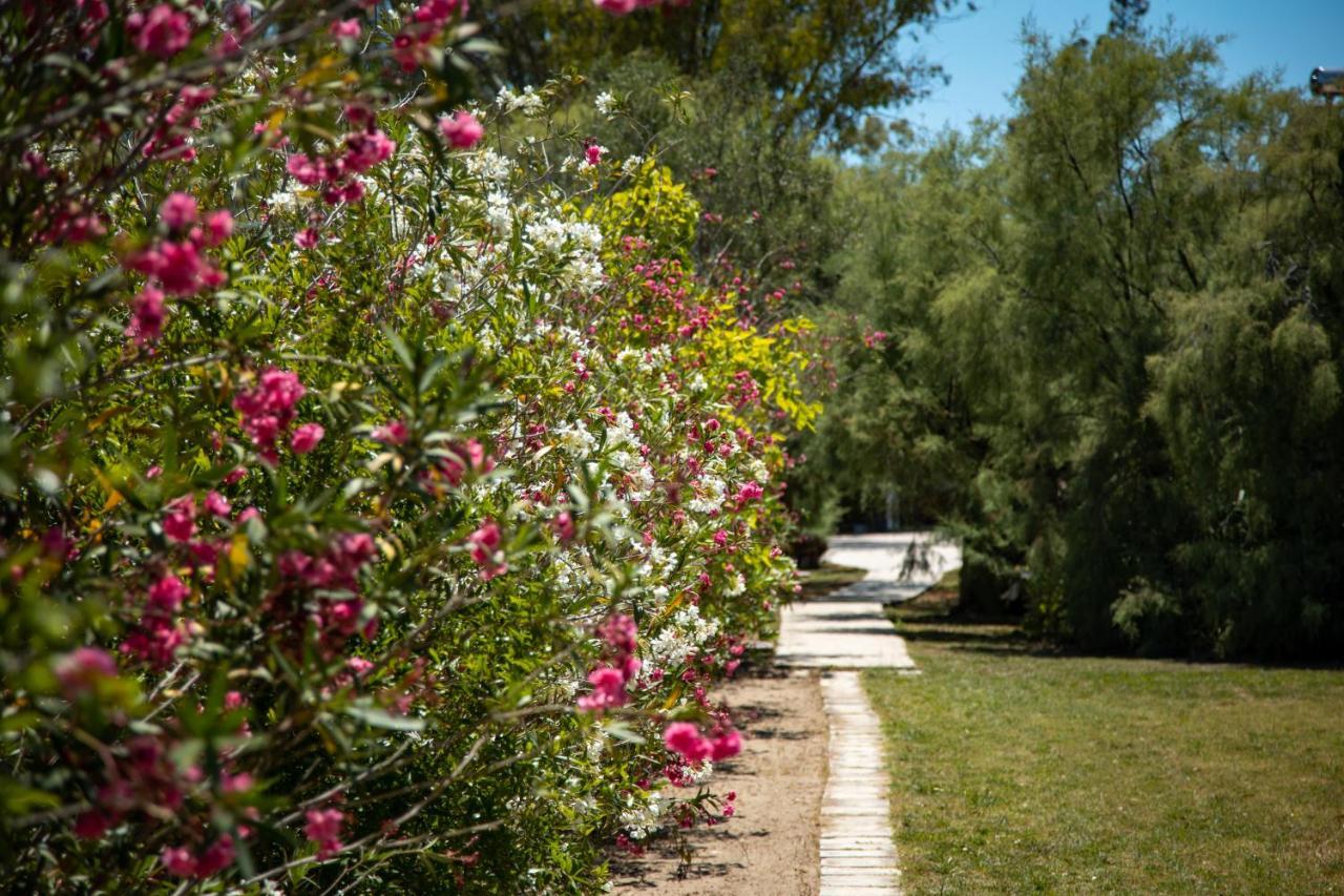Zervos Bouka Apartment Lefkimmi (Corfu)
